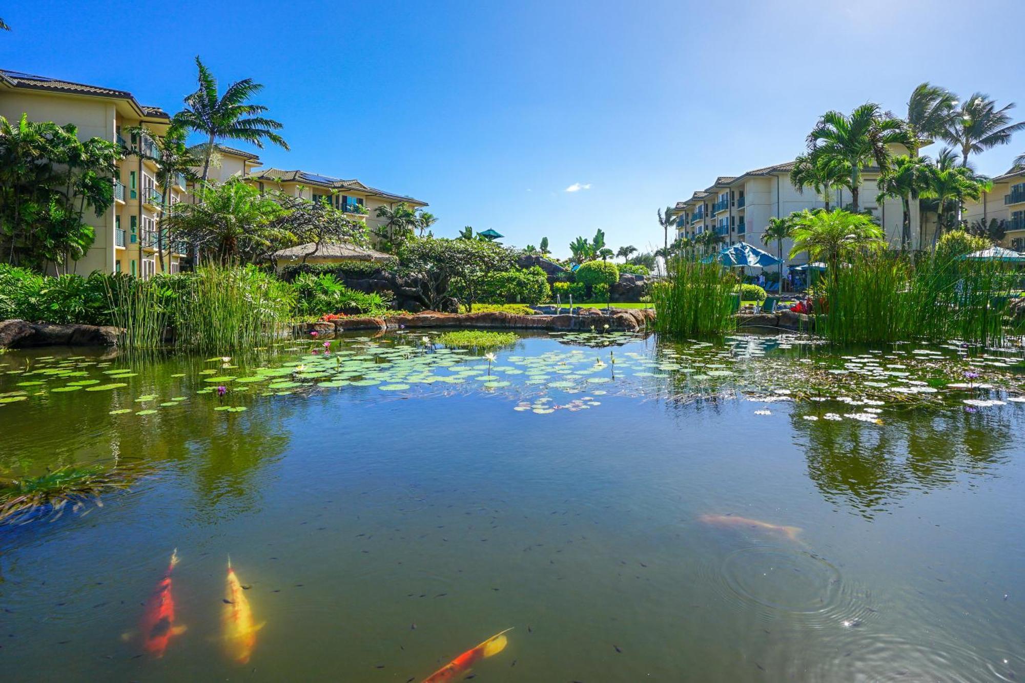 Waipouli Beach Resort Kapa'a Szoba fotó